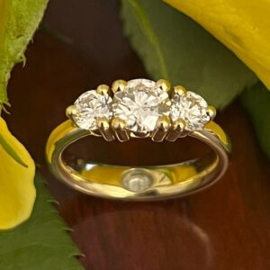 Our Secret Forlovelsesring - Elefant - Guldsmed Ragnar R. Jørgensen